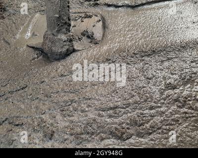 cement mixer construction site / cement mortar mixer with hoe on basin water for construction glue tiled on ground background Stock Photo
