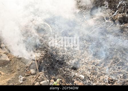 Dry grass burns on meadow in countryside, Wild fire burning dry grass in field and billowing smoke, Nature on fire.Danger and Disaster Stock Photo