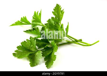 Fresh parsley isolated on white background Stock Photo