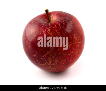 Red apple with texture isolated on white background Stock Photo