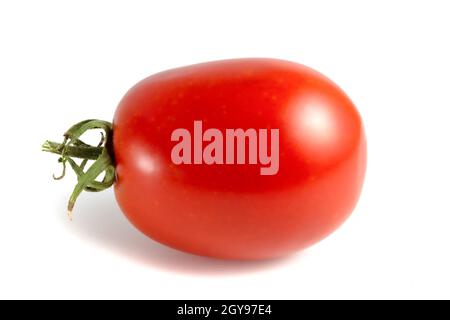 Oblong tomato isolated on white background. Stock Photo