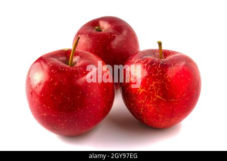Three red apples isolated on white background. Stock Photo