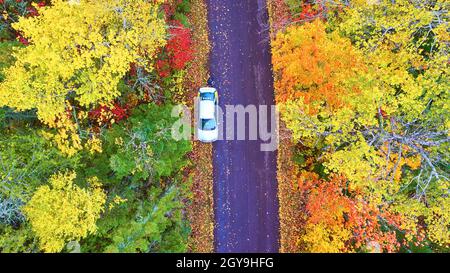 Fall forest with a white car on an asphalt road aerial shot Stock Photo