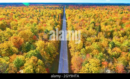 Straight and empty road through fall trees and a sun glare Stock Photo