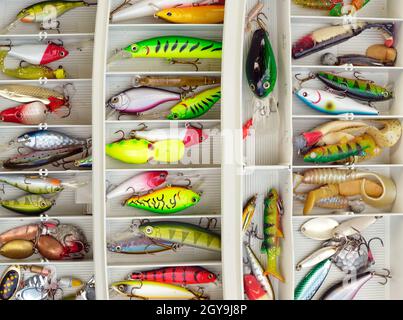 Overhead shot of colorful rubber worms fishing lures in a tackle box on  white background Stock Photo - Alamy