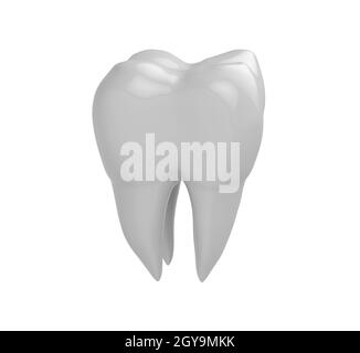 3d rendering of a tooth molar isolated in white studio background Stock ...