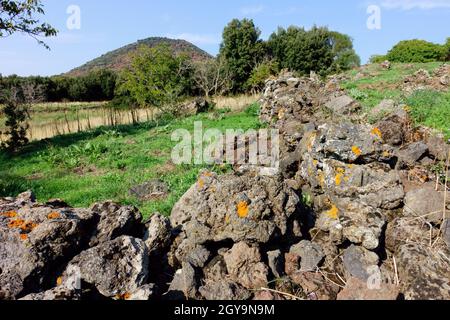 autumn colors of Sicily nature in mountain volcanic rock and green grass of Etna Park Stock Photo