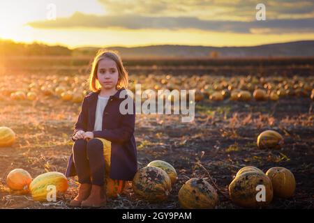 Girl in dark blue coat sits on a pumpkin on the field on sunset. Halloween Stock Photo