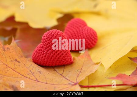 Red knitted hearts on yellow maple leaves. Concept of romantic love in autumn, fall season Stock Photo