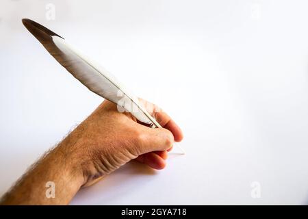 hand writing with a bird feather isolated on white background Stock Photo