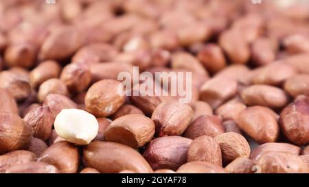 Heap of raw peanuts. Cultivated peanuts, underground or groundnuts. Plant of the legume family. Agricultural crop on an industrial scale. South Americ Stock Photo