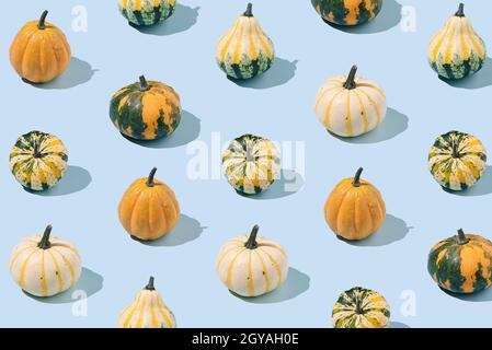 Seamless pattern with decorative pumpkins on a blue background. Autumn, fall, Halloween concept. Isometric layout. Rectangle Stock Photo