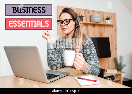 Sign displaying Business Essentials, Business concept important key ideas to improve business skills Attending Online Meeting, Creating New Internet V Stock Photo