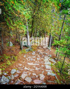 Long pond 2025 trail acadia