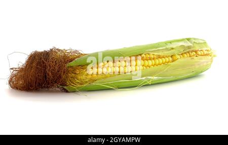 Fresh corn cob on white isolated background with clipping path. Stock Photo