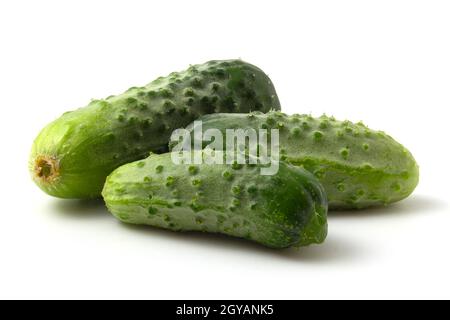 Three fresh cucumbers isolated on a white background. Green cucumbers Stock Photo