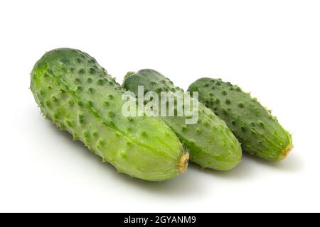 Three green gherkin cucumbers isolated on white background Stock Photo