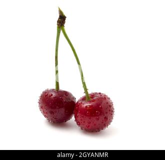 2 red cherries in dew isolated on white background close up Stock Photo