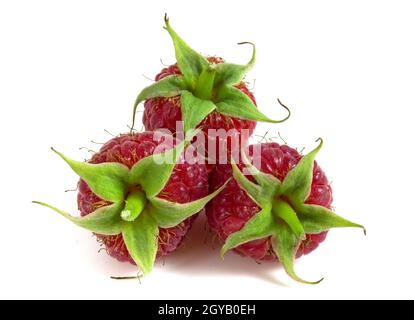 Three raspberries isolated on white background close-up Stock Photo