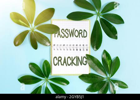 Conceptual caption Password Cracking, Business concept measures used to discover computer passwords from data Creating Nature Theme Blog Content, Prev Stock Photo