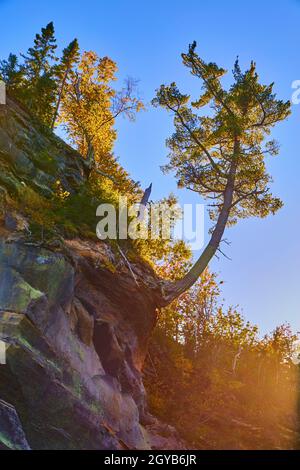 J shaped tree on a rocky cliff with a tree stump pointing up to the sky Stock Photo