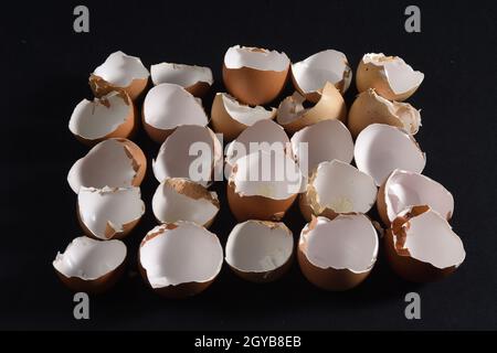 eggshells in row on black background Stock Photo