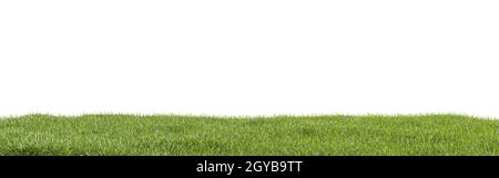 Photorealistic grass hill on a white background, 3d rendering Stock Photo