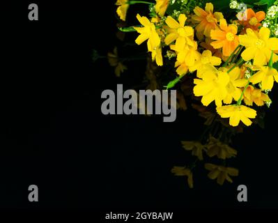 Yellow flowers on a black background with reflection. Background image. Mothers Day. St. Valentine's Day. Birthday. Memorial. Place for text. Stock Photo