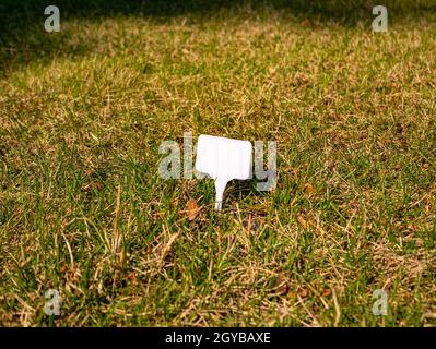 White plate for text on a grass lawn. Background image. Place for text. Stock Photo