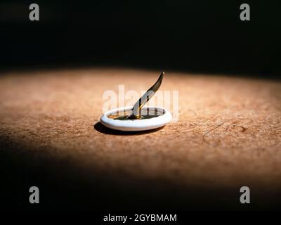 Bent pushpin on wooden table macro photo. Stationery. Background image. Place for text. Sharp. Closeup. Stock Photo