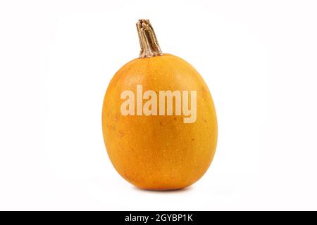 Single yellow skinned Spaghetti squash on white background Stock Photo