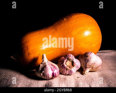 Orange pumpkin and garlic vegetable on a black background. Harvest vegetables. Head of garlic. Halloween orange pumpkin. Halloween holiday. Agricultur Stock Photo