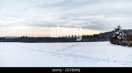 Beautiful panoramic landsape scene with a lot of snow in winter in Hesse Germany Stock Photo