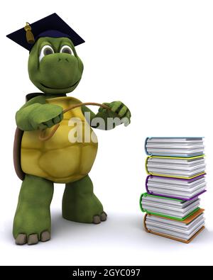 3D render of Tortoise teacher with a stack of books Stock Photo