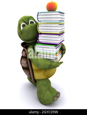 3D render of Tortoise with school book and apple Stock Photo