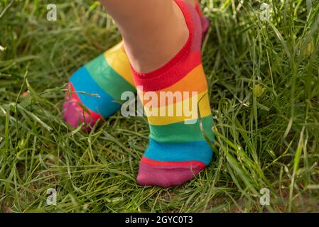 Rainbow Socks Photos, Download The BEST Free Rainbow Socks Stock Photos &  HD Images