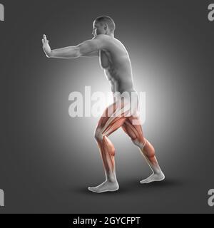 3D render of a male figure in standing gastroc-nemius stretch Stock Photo