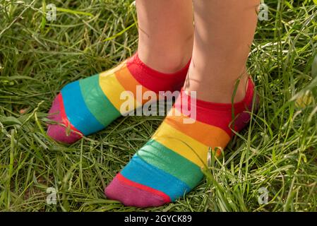 Rainbow socks on the girl's feet. Child's feet in colorful socks on the green grass. Stock Photo