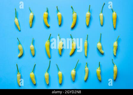 Pattern of small yellow hot peppers on light blue background Stock Photo