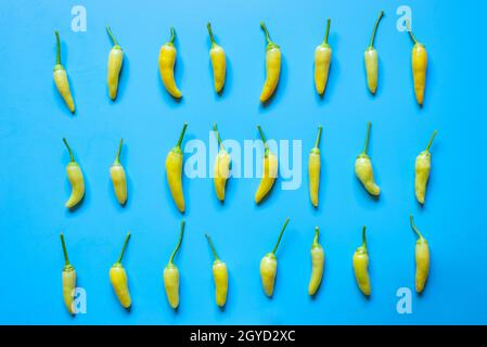 Pattern of small yellow hot peppers on light blue background Stock Photo