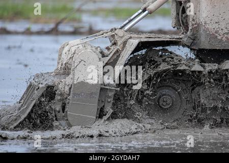 Close-up tractor cultivates and cuts furrows in the field. Tractor work in the black soil field in the village Stock Photo