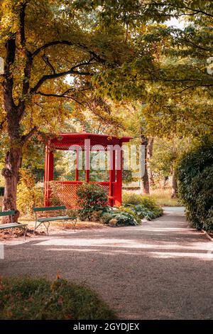 Gazebo in the autumn park. Beautiful nature. Stock Photo