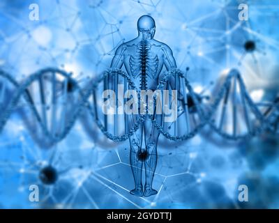 3D render of a medical background with male figure and DNA strand Stock Photo