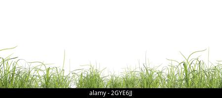 Photorealistic grass hill on a white background, 3d rendering Stock Photo