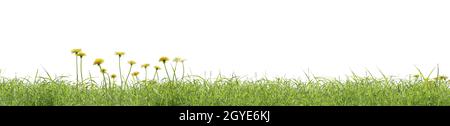 Photorealistic grass hill on a white background, 3d rendering Stock Photo