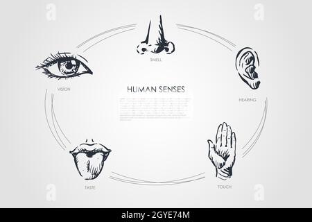 Human senses - vision, taste, touch, hearing, smell vector concept set. Hand drawn sketch isolated illustration Stock Photo