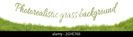 Photorealistic grass hill on a white background, 3d rendering Stock Photo