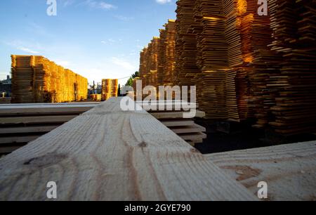 sawn pine wood placed in piles Stock Photo