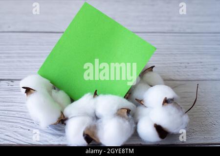 Blank Piece Of Sticky Note Placed On Top Of Table With Cotton Plant. Stock Photo