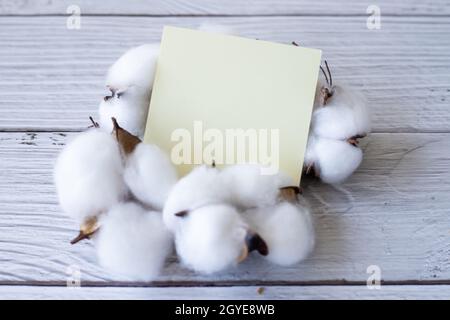 Blank Piece Of Sticky Note Placed On Top Of Table With Cotton Plant. Stock Photo